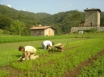 azienda