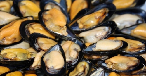 cozze