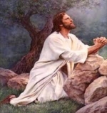 corpus domini
