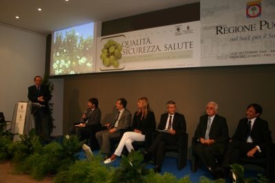 Agricoltura, il ricambio generazionale per risollevare l'economia...