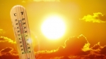 notti tropicali
