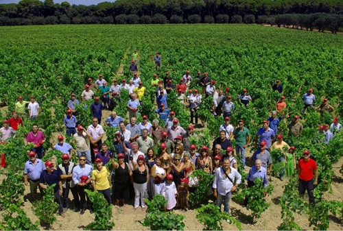 Foto cantina due palme