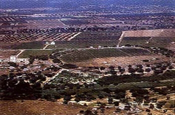 Cavallino, nuova vita alla periferia della città: impianti sportivi...