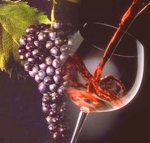 otranto wine festival