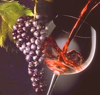 otranto wine festival