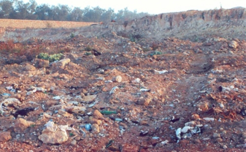 Pellegrino insiste su Burgesi: convocazione urgente del tavolo tecnico