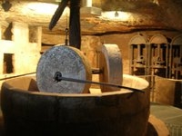 La flotta dei 23 frantoi ipogei di Presicce