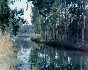 Provincia di Taranto, 600mila euro per il recupero del fiume Galeso