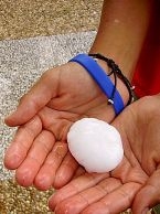 Consigliere regionale in visita nelle zone colpite dalla grandinata:...