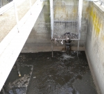 Il depuratore di Galatina ha un guasto, i lavoratori sospendono il...