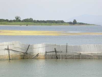 Lesina, crisi distrofica e dissesto idrogeologico in sede regionale