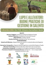 lupi