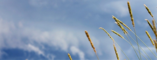 Nuovo numero di Trimestrale Mezzogiorno, export +17%