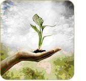 Naturopatia, una sentenza del Tribunale di Martina Franca: la...