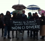 Protesta circo