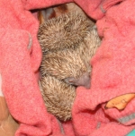 Calimera, progetto naturalistico per ragazzi delle medie