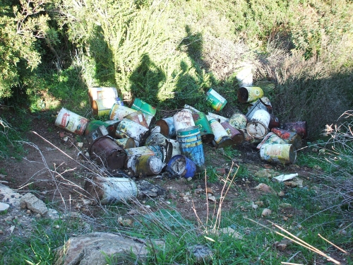 Criminali ambientali sversano materiale nocivo nella "Palude del...