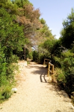 A Supersano inaugurazione del Parco Naturalistico e Centro visite...