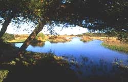 Piano paesaggistico, Barbanente a Vernole