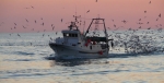 Il sostegno ai pescatori pugliesi in legge di bilancio